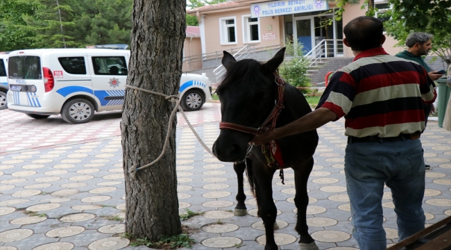 Kayseri'de atını aracına bağlayıp götüren kişi hakkında soruşturma başlatıldı
