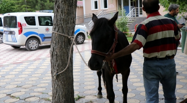 Kayseri'de atını aracına bağlayıp götüren kişi hakkında soruşturma