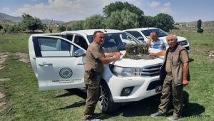 Kayseri'de kaçak keklik avladı 7 bin 500 lira ceza kesildi