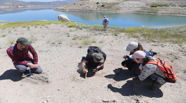 Kayseri'deki 7,5 milyon yıllık fosilleri yabancı paleoantropologlar inceledi