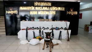 "Kökünü Kurutma Operasyonu"nda gözaltı sayısı 234'e yükseldi