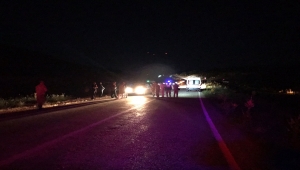 Malatya'da hafif ticari aracın çarptığı çoban öldü