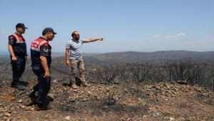 Marmaris'teki yangından etkilenen yaban hayvanları için devriye görevi 