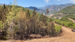 Mersin'de çıkan orman yangını söndürüldü 