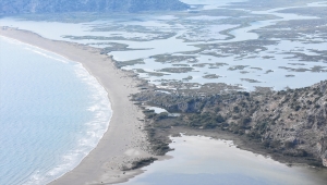 Muğla'da İztuzu Plajı'ndaki caretta caretta yuva sayısı 200'e ulaştı