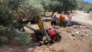Muğla'da kuyuya düşen inek itfaiye ekiplerince kurtarıldı