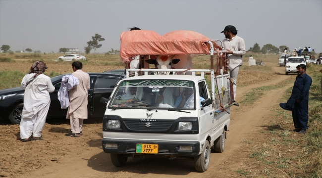 Pakistan'da geleneksel boğa yarışları düzenlendi