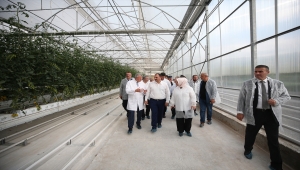 Sakarya'da "Seracılık Mükemmeliyet Merkezi" tanıtım toplantısı yapıldı