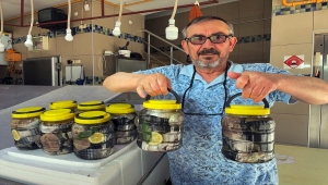 Sinop'ta kışın tuzlanan palamutlar tezgahları süslüyor