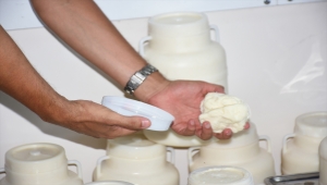 Tarsus'ta sağlıksız ortamda üretilen 830 kilogram peynir imha edildi