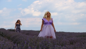 "Tekirdağ 2. Lavanta Günleri" etkinlikleri devam ediyor