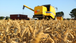 Tekirdağ'da "6. Hasat Bayramı" kutlandı