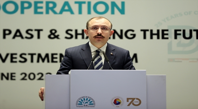 Ticaret Bakanı Muş'tan D-8 ülkelerine "Türkiye'ye yatırım" daveti: