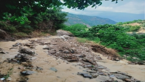 Tire'de etkili olan dolu tarım arazilerine zarar verdi