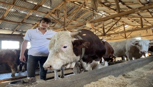 1,1 tonluk "Rocky" Adıyaman'da satışa çıkarıldı