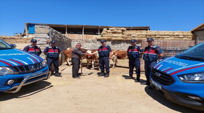Aksaray'da çalınan 8 büyükbaş bulunarak sahibine teslim edildi