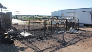 Antalya'da otluk ve sazlık alanda çıkan yangın söndürüldü