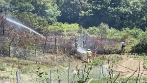 Beykoz'da ormanlık alanda çıkan yangın söndürüldü