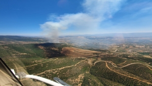 Çanakkale'de çıkan orman yangınına müdahale ediliyor