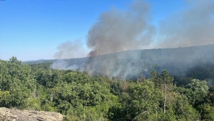 Edirne'de çıkan orman yangınına müdahale ediliyor