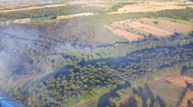 GÜNCELLEME - Çanakkale'deki orman yangını kontrol altına alındı