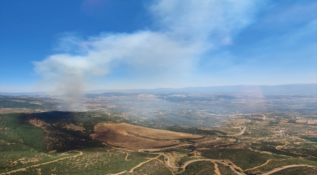 GÜNCELLEME - İzmir'in Ödemiş ilçesinde çıkan orman yangını kontrol altına alındı