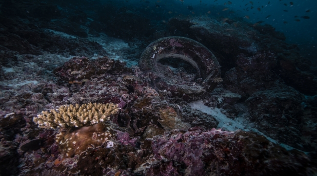 İklim değişikliği ve kirlilik Maldivler'in mercan resiflerini tehdit ediyor