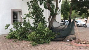 Kayseri'de dut toplamak isteyen kişi ağaçtan düşerek hayatını kaybetti