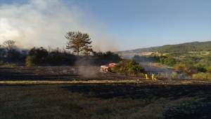 Osmaniye'de çıkan orman yangını kontrol altına alındı